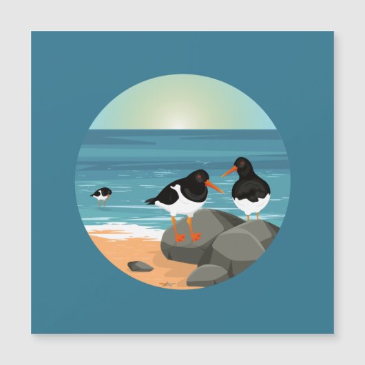 Oystercatcher aan de kust (Voorkant)