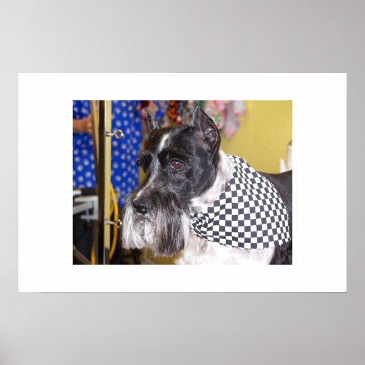 Oz Poster (Voorkant)