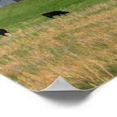 Ozark Old Boerderij Poster (Hoek)