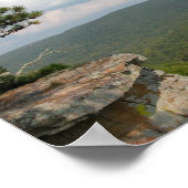 Ozarks, Arkansas Panoramic 4 Poster (Hoek)