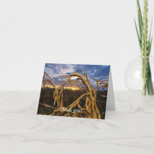 Ozarks Harvest Harvest Bedankt