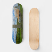 Ozarks Old Barn et Silo Skateboard (Recto)