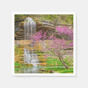 Ozarks Waterfall Spring Bluff Servet