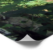 OzonHerfsten Poster (Hoek)