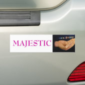 P1000304, MAJESTISCH BUMPERSTICKER (Op auto)