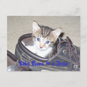 P1020640_153_153, Baby Blues in a Shoe Briefkaart