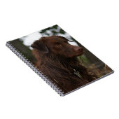 P1 Flatlandersam Natte Hond Notitieboek (Rechterzijde)