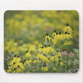 P2526a_gele conefloermonet_zazzle muismat
