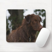 P2 Rode Hond Sam Flatlandersam Muismat (Met muis)