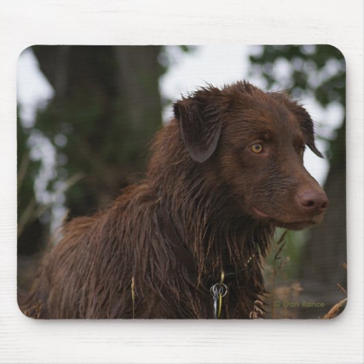 P2 Rode Hond Sam Flatlandersam Muismat (Voorkant)