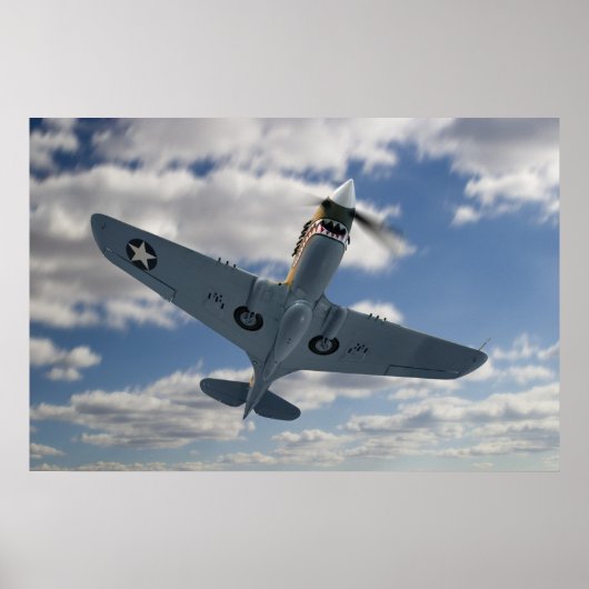 P40 Composiet Poster (Voorkant)