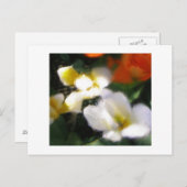 P4290105 BRIEFKAART (Voorkant / Achterkant)