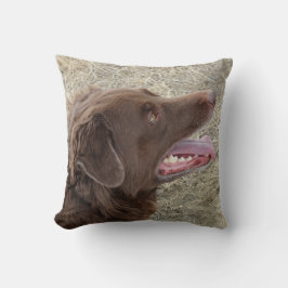 P4 Flatlandersam profiel Kussen