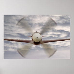 P51 Mustang Composite Poster