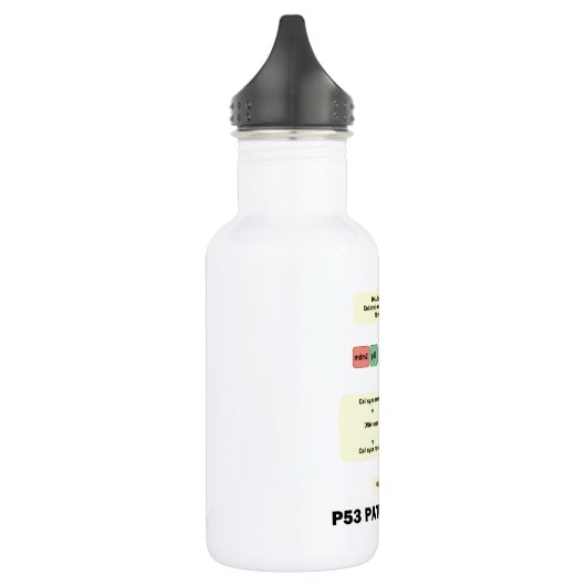 P53 Pathways Inside (Cell Molecular Biology) Waterfles (Links)