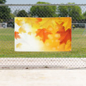 p581 spandoek (Insitu)