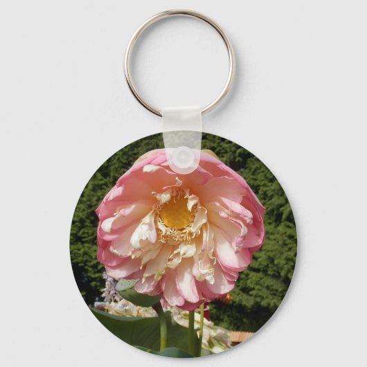 P7220107.JPG SLEUTELHANGER (Voorkant)