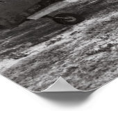 P-40 PLANE - PEARL HARBOR - 1941 POSTER (Hoek)