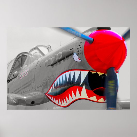 P-40 WARHAWK POSTER (Voorkant)