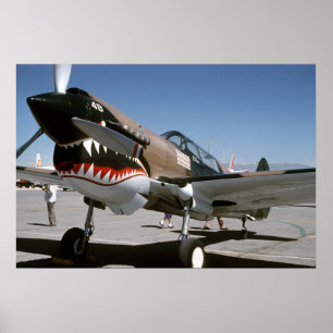 P-40 Warhawk Poster