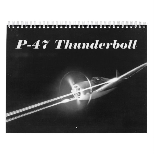 P-47 Thunderbolt Kalender (Hoes)