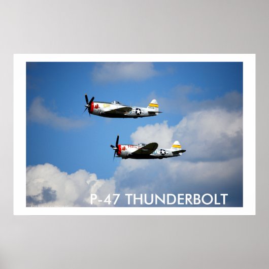 P-47 THUNDERBOLT "Nice Jugs" Poster (Voorkant)