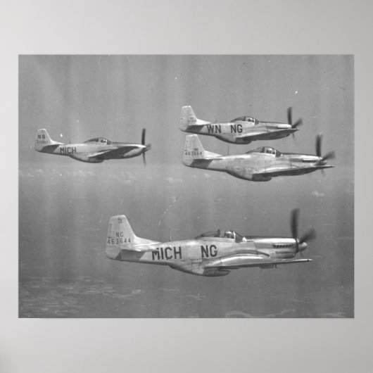 P-51 Mustangs Poster (Voorkant)