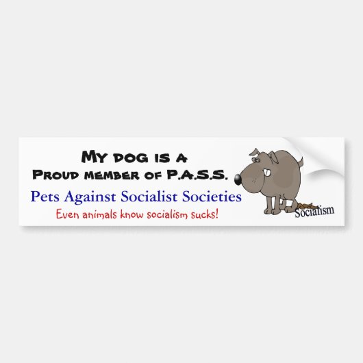 P.A.S.S. BUMPERSTICKER (Voorkant)
