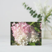 P.D. Hydrangea briefkaart (Staand voorkant)