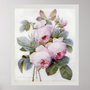 P.J. Roos Redoute Bourbon Poster
