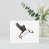 P. Puffin / carte postale (Debout devant)