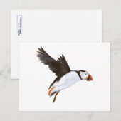 P. Puffin / carte postale (Devant / Derrière)