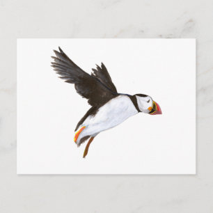 P. Puffin / carte postale Briefkaart