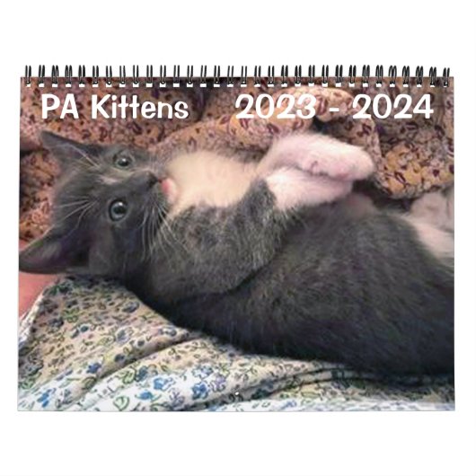 PA Kittens 2 jaar agenda Kalender (Hoes)