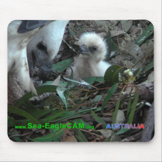 Pa met S2 Mousepad Horizontal 5 Muismat