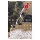 PA Paws 12 maanden Persoonlijk kalender (Feb 2026)