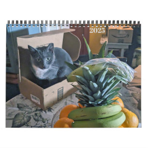 PA Paws 2025 Calendrier personnalisé de 12 mois