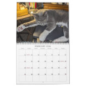 PA Paws 2025 Calendrier personnalisé de 12 mois (Feb 2026)