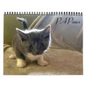 PA Paws 2 jaar kalender (Hoes)