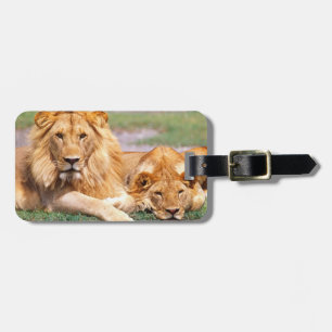 Paar Afrikaanse Leeuwen, Panthera leo, Tanzania Bagagelabel