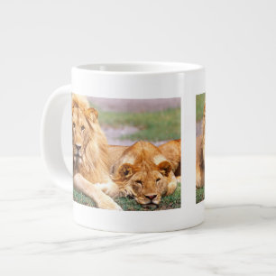 Paar Afrikaanse Leeuwen, Panthera leo, Tanzania Jumbo Mok