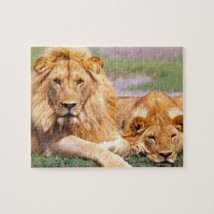Paar Afrikaanse Leeuwen, Panthera leo, Tanzania Legpuzzel