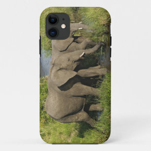 Paar Afrikaanse Olifanten Masai Mara iPhone 11 Hoesje
