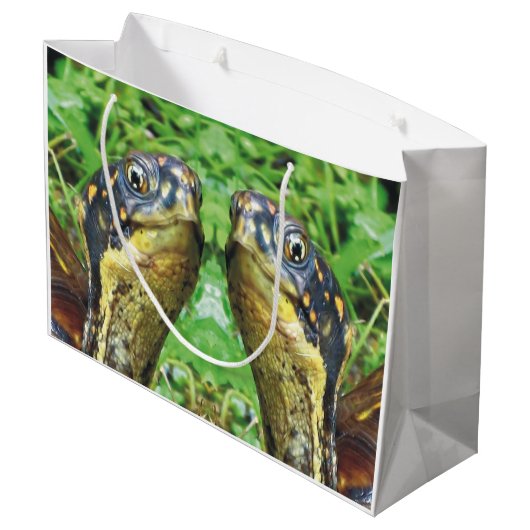 Paar box Turtle Friends Gift Bag Groot Cadeauzakje (Achterkant Gekanteld)