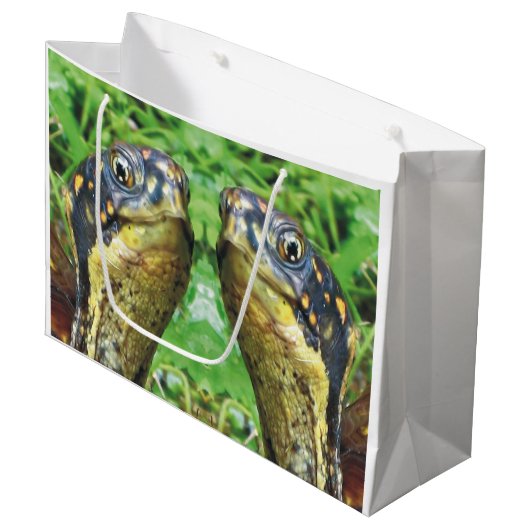 Paar box Turtle Friends Gift Bag Groot Cadeauzakje (Voorkant Gekanteld)