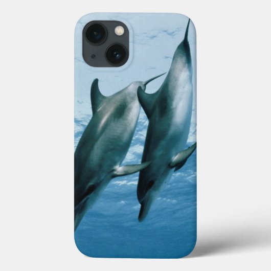 Paar dolfijnen Case-Mate iPhone case (Achterkant)