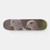 Paar Duiven Skateboard (Horizontaal)