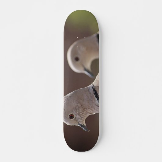 Paar Duiven Skateboard (Voorkant)