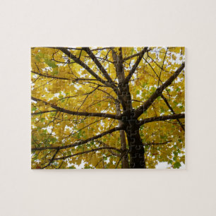 Paar Gele Esdoornbomen Herfst Natuur Legpuzzel