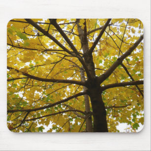 Paar Gele Esdoornbomen Herfst Natuur Muismat